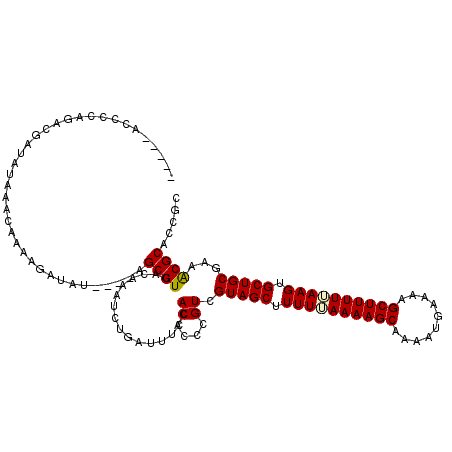 secondary structure