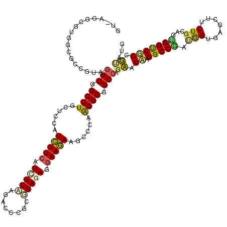 secondary structure
