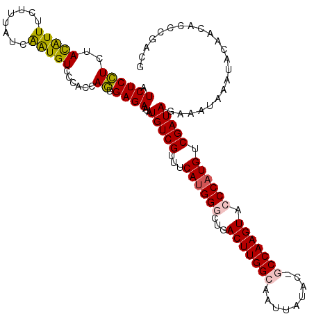 secondary structure