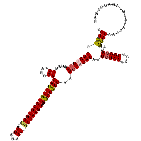 secondary structure