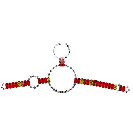 secondary structure
