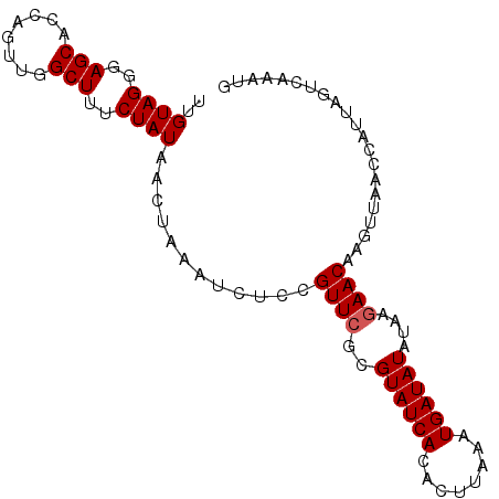 secondary structure