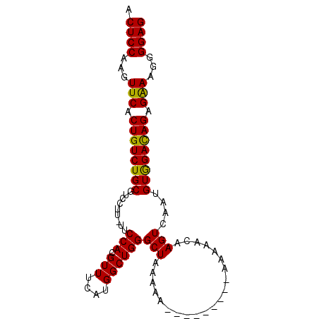 secondary structure