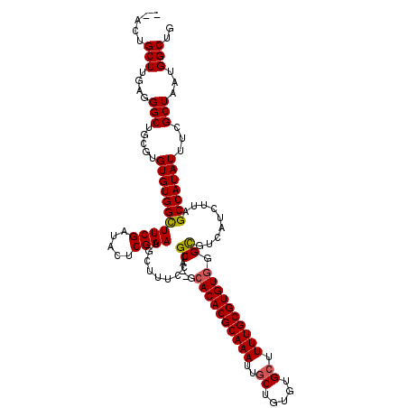 secondary structure