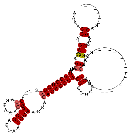 secondary structure