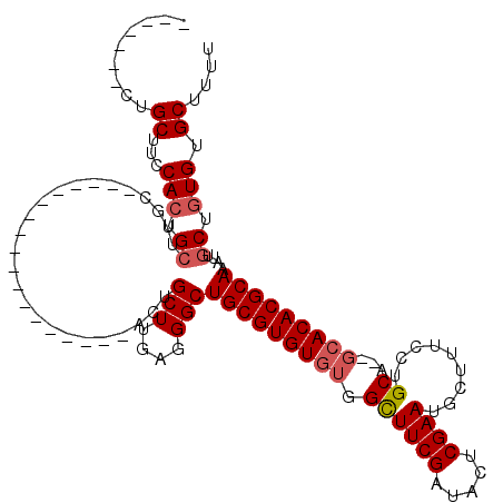 secondary structure