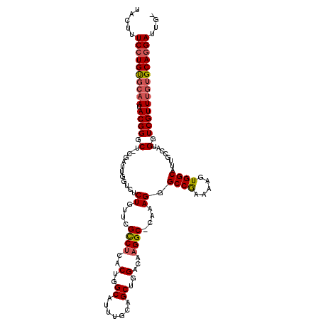 secondary structure