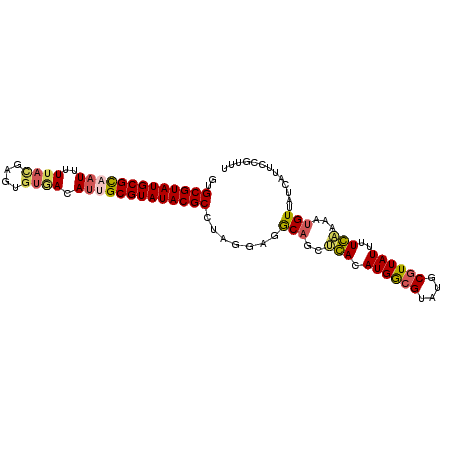 secondary structure