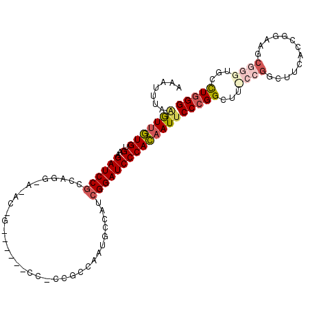 secondary structure