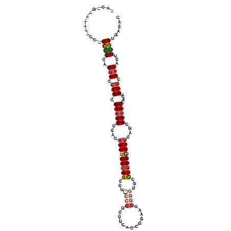 secondary structure