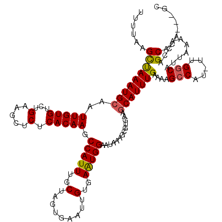 secondary structure