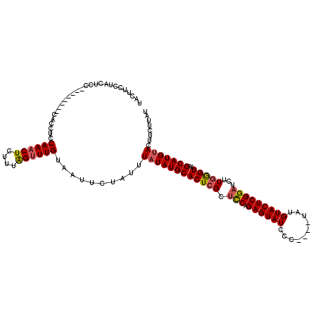 secondary structure