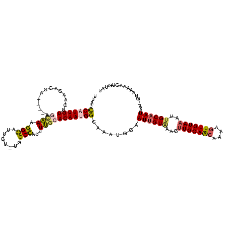 secondary structure