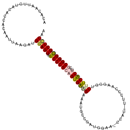 secondary structure