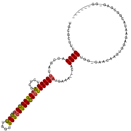 secondary structure