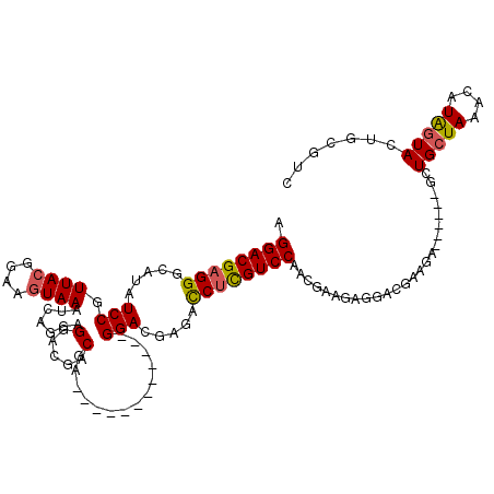 secondary structure