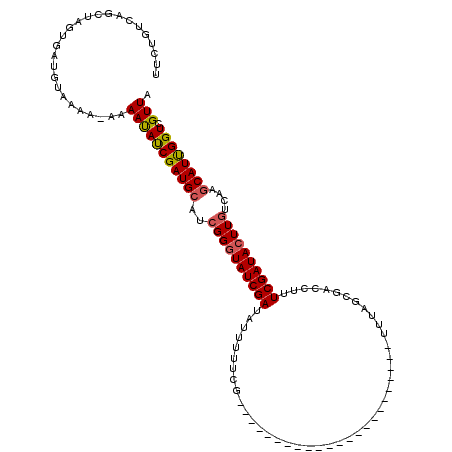 secondary structure