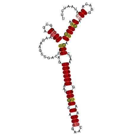 secondary structure