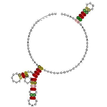secondary structure