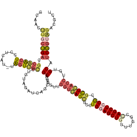 secondary structure