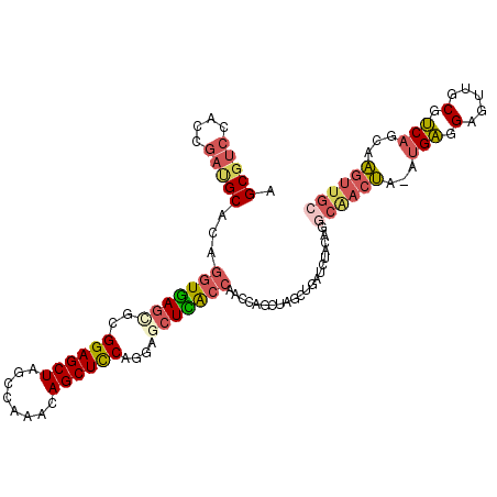 secondary structure