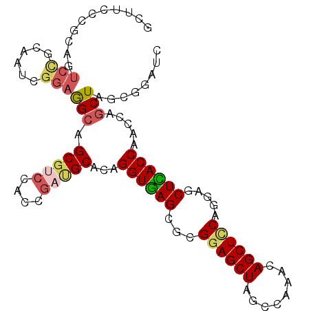 secondary structure