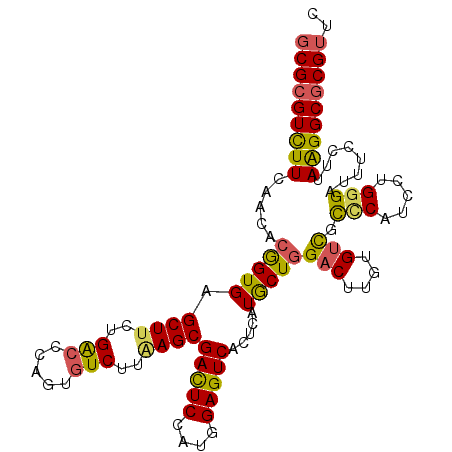 secondary structure