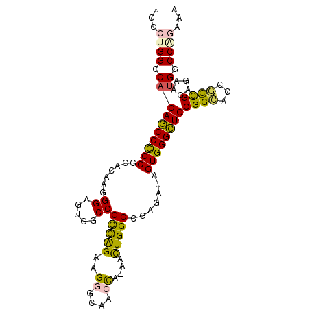 secondary structure