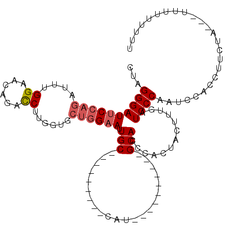 secondary structure