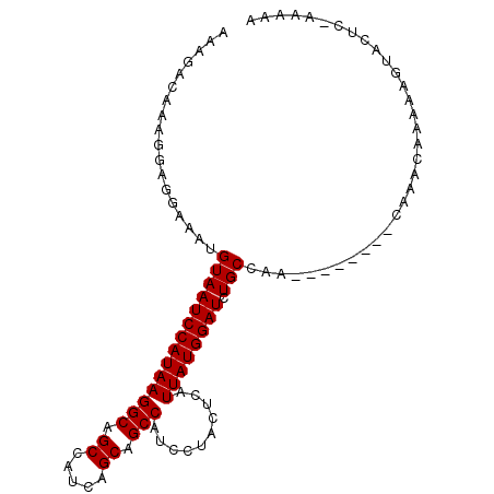 secondary structure