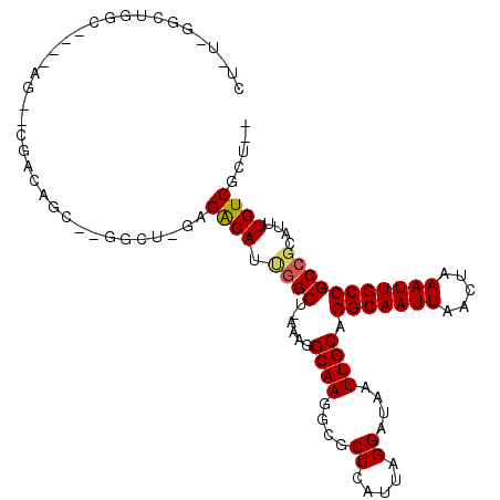 secondary structure