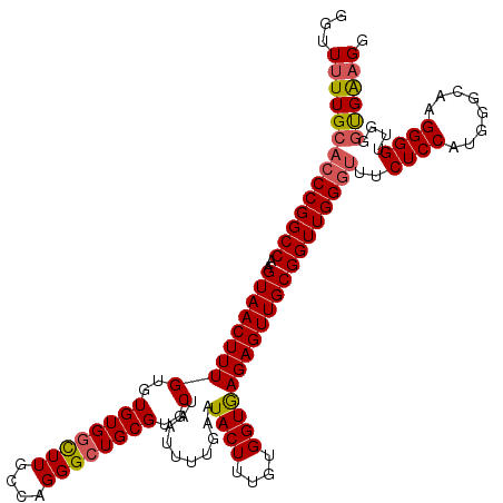 secondary structure