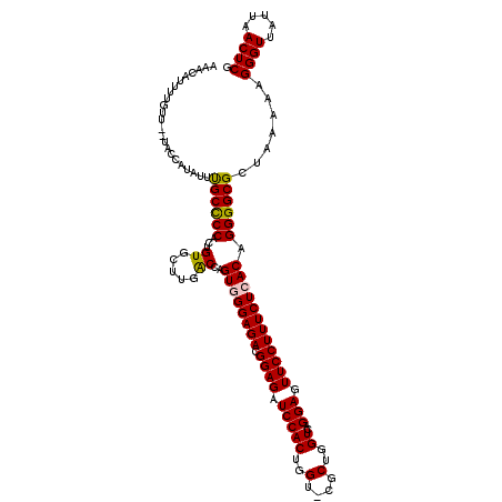 secondary structure
