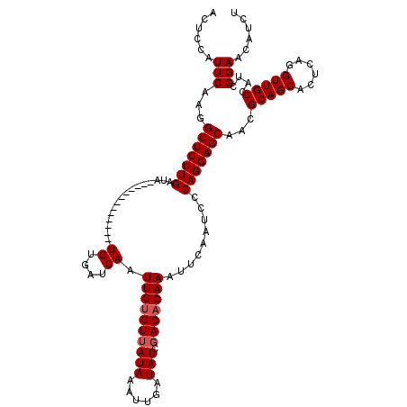 secondary structure