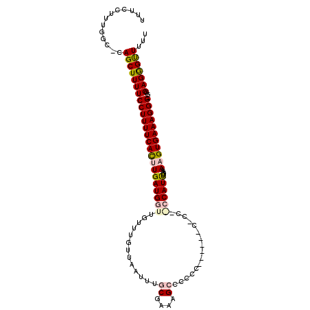 secondary structure