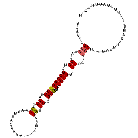secondary structure