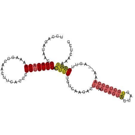 secondary structure