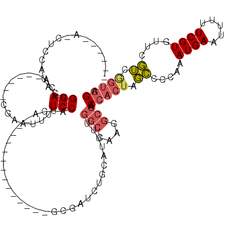 secondary structure