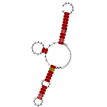 secondary structure