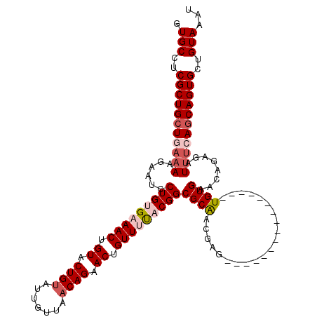 secondary structure