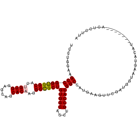 secondary structure