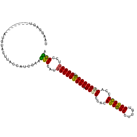 secondary structure