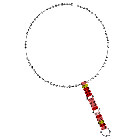 secondary structure