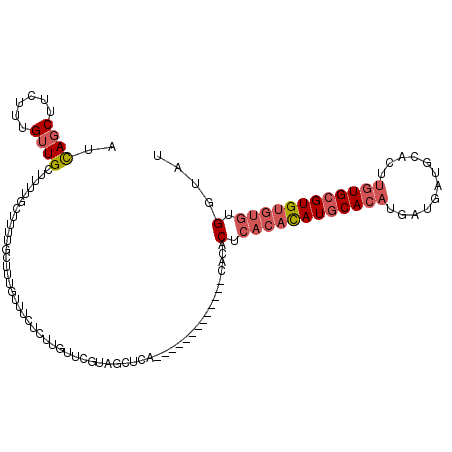 secondary structure