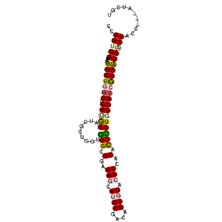 secondary structure