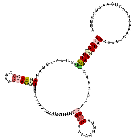 secondary structure
