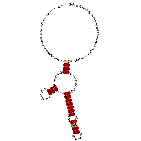 secondary structure