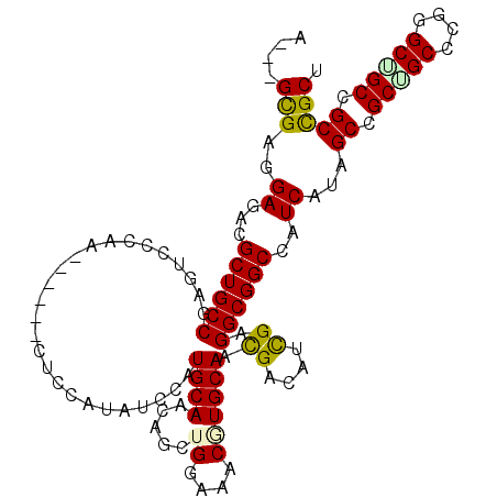 secondary structure