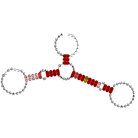 secondary structure