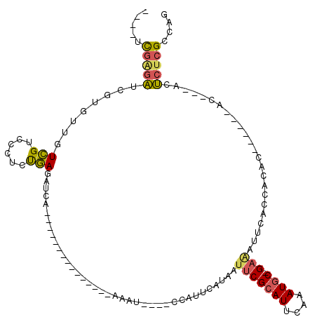 secondary structure